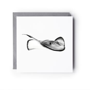 Stingray Sea Life Hand Drawn Greeting Card, 2 of 5