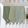 Personalised Trixie Daring Dino Three Pack Muslin Cloths, thumbnail 2 of 5