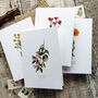 Set Of 10 Different Wildflower Notecards And Envelopes, thumbnail 4 of 7