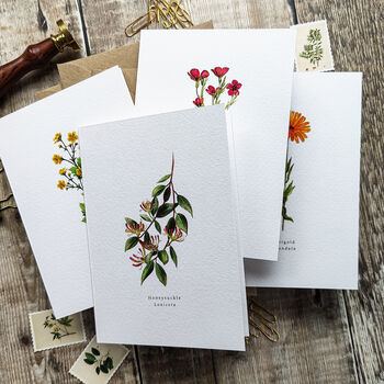 Set Of 10 Different Wildflower Notecards And Envelopes, 4 of 7