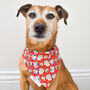 Christmas Characters Festive Dog Bandana, thumbnail 3 of 7