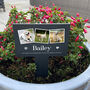 Personalised Large Pet Photo Memorial Slate Plant Marker, thumbnail 6 of 7