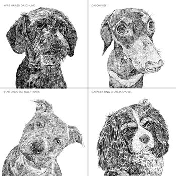 Set Of Four Dog Portrait Prints, 7 of 12