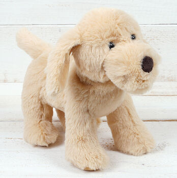 Golden Puppy Dog With Personalised Keepsake, 3 of 5