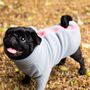 Pug Polartec Water Resistant Dog Coat, thumbnail 1 of 9