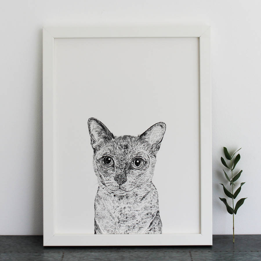 cat-art-print-by-ros-shiers-notonthehighstreet