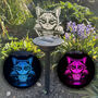 Pet Cat Memorial Colour Changing Solar Garden Light, thumbnail 1 of 7