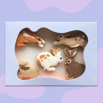 Jumping Bunnies Easter Iced Biscuits, 2 of 4