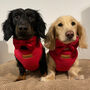 Velour Collar, Lead And Bow Tie Set, thumbnail 4 of 6