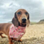 Pink Vintage Floral Dog Bandana, thumbnail 2 of 3