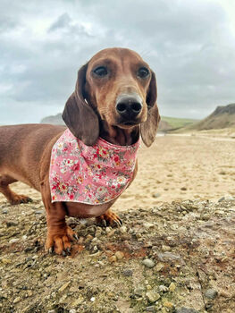 Pink Vintage Floral Dog Bandana, 2 of 3