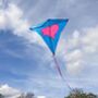 Flying Pig Kite, thumbnail 3 of 5