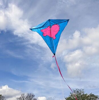 Flying Pig Kite, 3 of 5