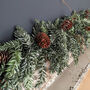 6ft Fir And Pine Cone Christmas Garland, thumbnail 2 of 3