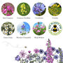 20 Personalised Wildflower Seed Wedding Favours, thumbnail 11 of 12