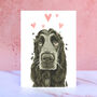 Cocker Spaniel Licks And Kisses Greetings Card, thumbnail 1 of 1