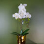 White Artificial Orchid Plant Gold Pot 54cm Real Touch, thumbnail 4 of 4