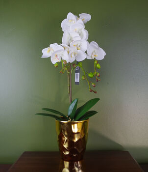 White Artificial Orchid Plant Gold Pot 54cm Real Touch, 4 of 4