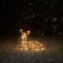 Studley Rattan Resting Fawn Light Up Reindeer, thumbnail 1 of 6