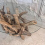 Driftwood Oval Coffee Table, thumbnail 2 of 4