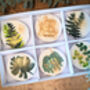 Personalised Hand Painted Botanical Biscuits, thumbnail 1 of 7