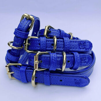 Handmade Italian Leather Padded Blue Dog Puppy Collar, 3 of 6
