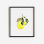 Amalfi Lemon Gold Leaf Watercolour Print, thumbnail 5 of 5
