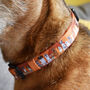 Orange Cartoon Dogs Print Dog Collar, thumbnail 5 of 8
