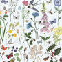 British Wildlife And Florals Through The Seasons Print, thumbnail 3 of 4