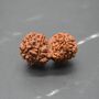 Nepali Gauri Shankar Rudraksha Beads, thumbnail 1 of 9