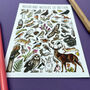 Moorland Wildlife Of Britain Watercolour Postcard, thumbnail 7 of 12