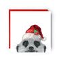 Peeking Meerkat Festive Red Hat Christmas Card, thumbnail 1 of 5
