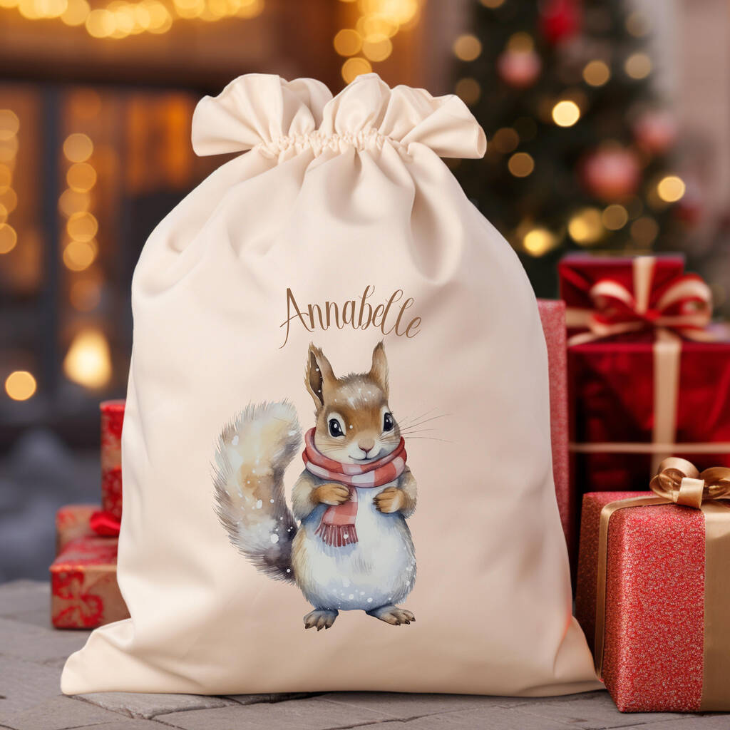 Personalised Squirrel Drawstring Christmas T Bag By Andrea Fays 4110