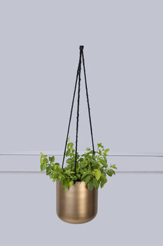 Golden Hanging Planters Set Of Two, 8 of 10
