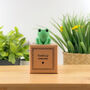 Toadally Awesome Tiny Little Gifts, thumbnail 1 of 3