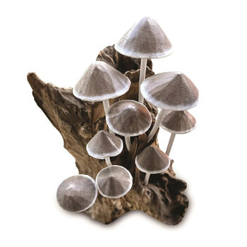 30cm Handcrafted Wooden Ink Cap Mushroom Statue Ornament Nature Gift On Teak Root, 6 of 6