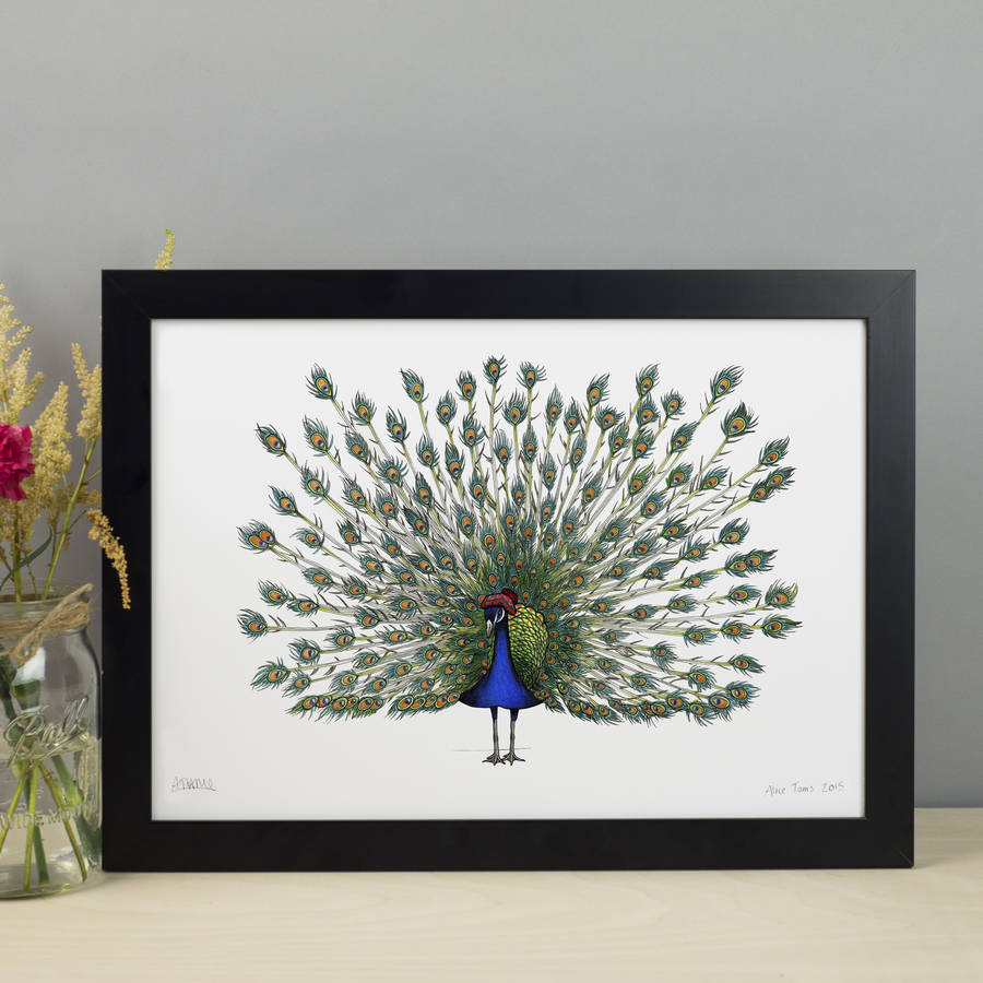 Peacock In A Scottish Bonnet Unframed Print, 1 of 3