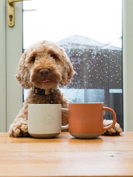 Cockapoo/ Cavapoo/ Maltipoo Engraved Orange Ceramic Tea/ Coffee Mug, 8 of 8
