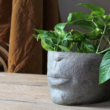 Half Face Planter, 2 of 4