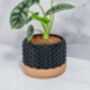 Carbon Stellar Planter, thumbnail 4 of 4