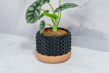 Carbon Stellar Planter, 4 of 4