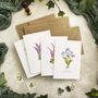 Set Of 10 Different Pink And Blue Wildflower Notecards, thumbnail 5 of 7