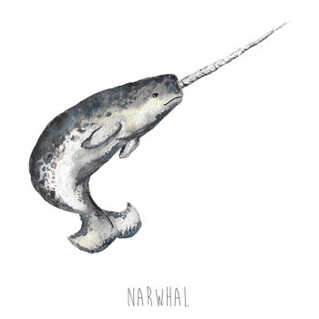 Personalised Narwhal Art Print, 4 of 5