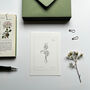 Hand Illustrated ‘Spring Flowers’ Notecard Set, thumbnail 7 of 8