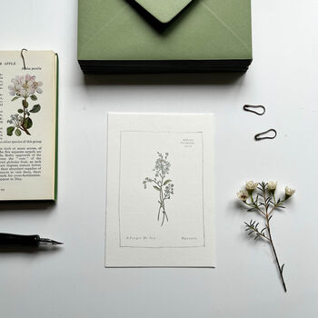 Hand Illustrated ‘Spring Flowers’ Notecard Set, 7 of 8