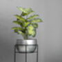 Stylish Silver Plant Pot With Metal Stand 'Mira', thumbnail 1 of 2