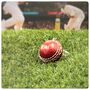 Personalised Vintage Miniature Cricket Ball Keyring, thumbnail 9 of 12