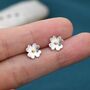 Buttercup Flower Stud Earrings In Sterling Silver, thumbnail 7 of 12