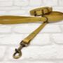 Waterproof Dog Collar And Lead Set Gold, thumbnail 1 of 3