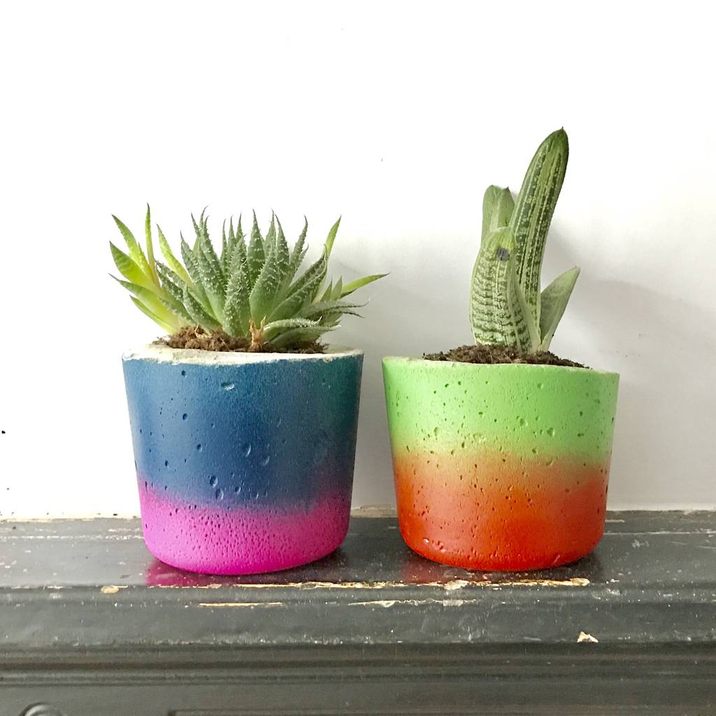 handmade tropical concrete plant pot by sand&stone
